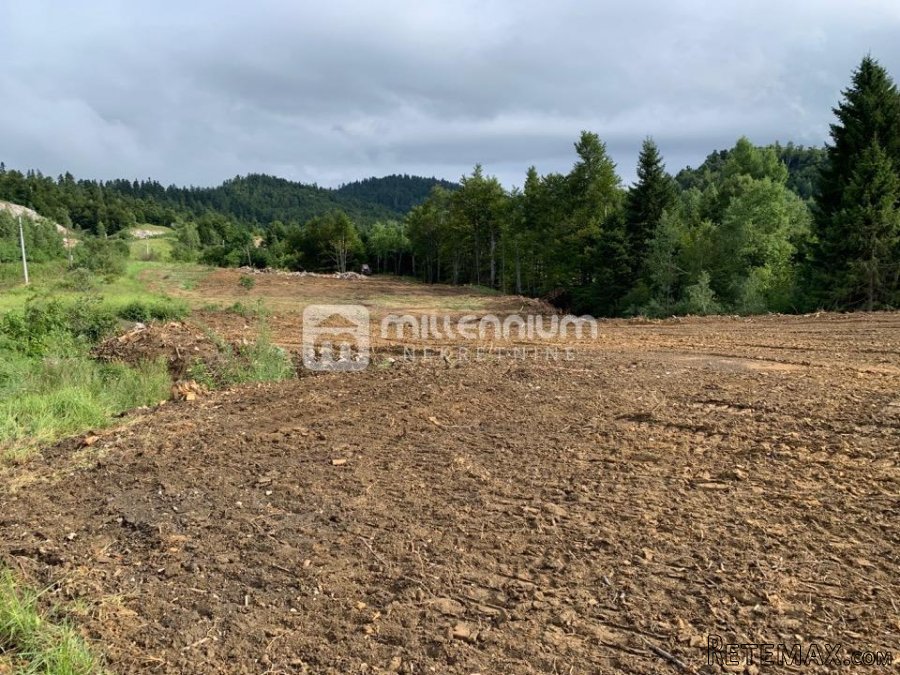Gorski Kotar, Vrata, 27.288m2 poljoprivrednog zemljišta - 6