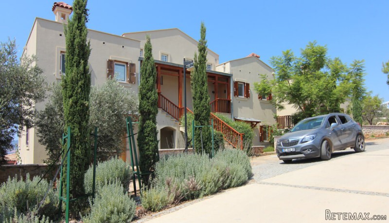 Kalkan, Lavanta