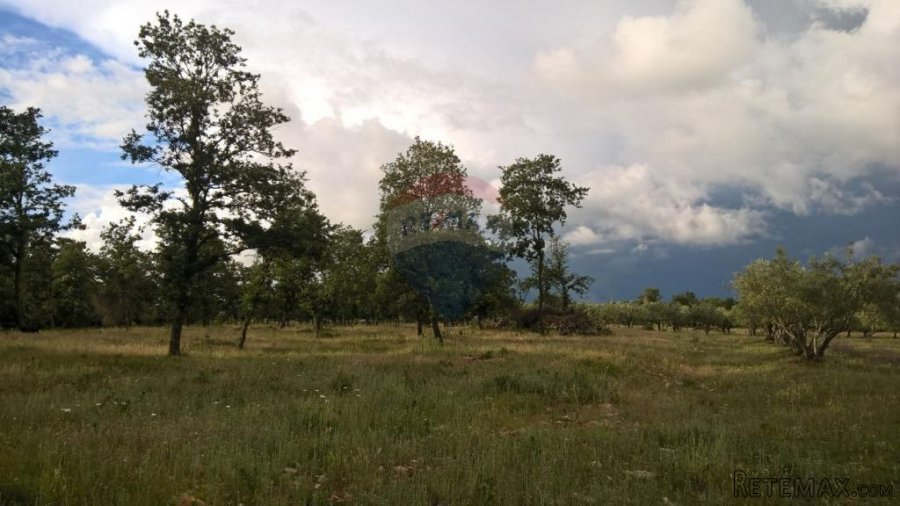 Tar, stoljetna kuća za adaptaciju sa velikim imanjem - 10