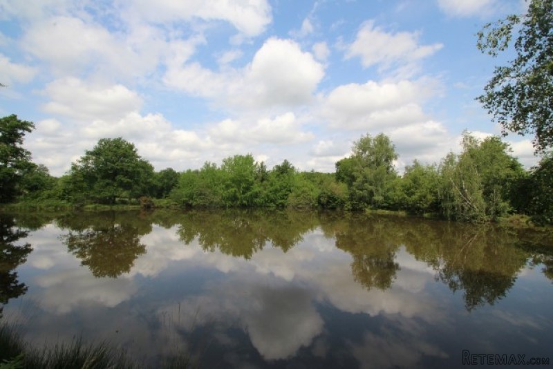 Lake (Approx 3000m2) On Large Plot