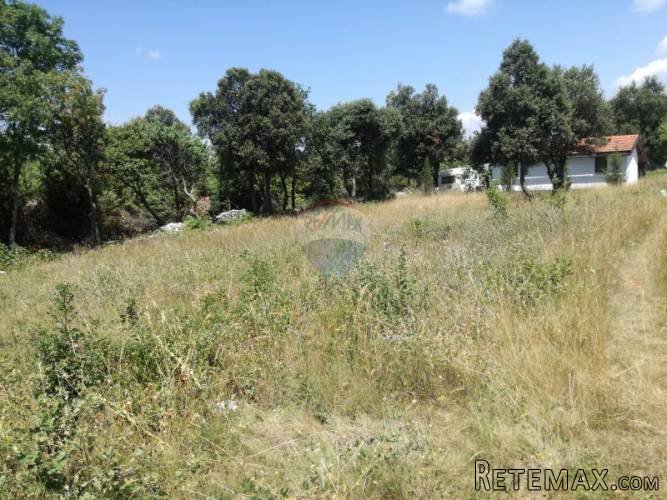 Istra,Pavićini -negrađevinsko vikend zemljište - 2