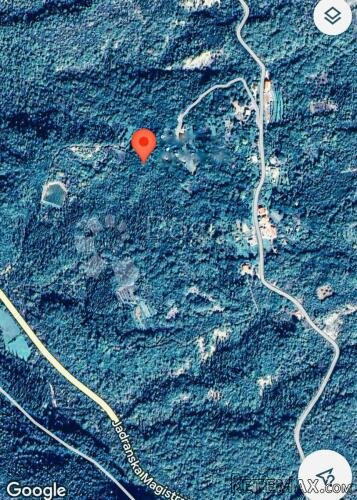 Atraktivna parcela s tri izvora vode, 11700 m2 - 3