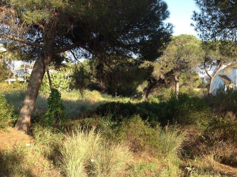 Land - Malaga - For Sale - 2