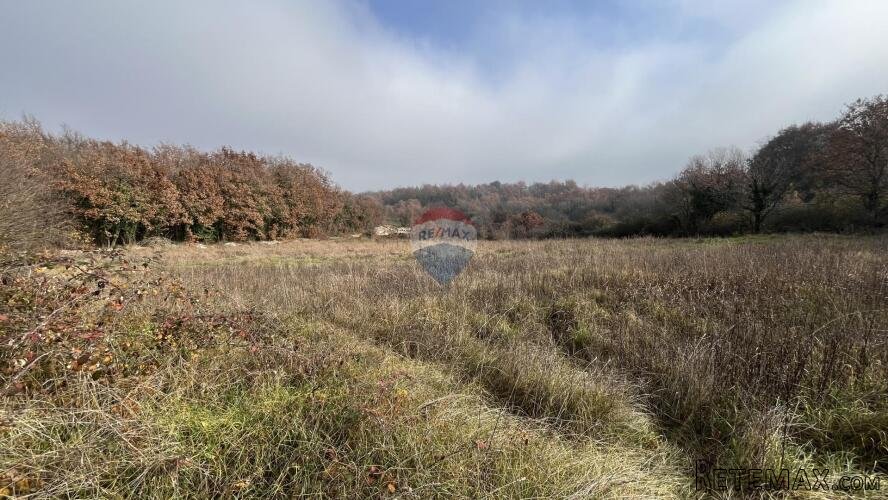 Istra, Kringa , okolica - građevinsko zemljište u manjem sel - 3