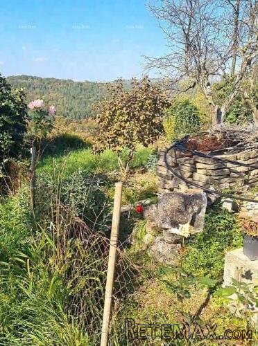 Kamena kuća s okućnicom i započetom renovacijom – okolica Pa.. - 4
