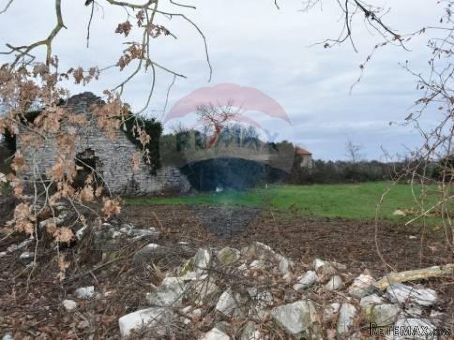 Tar, Stancija u blizini Tara, Kompleks ruševnih kuća i poljo - 4