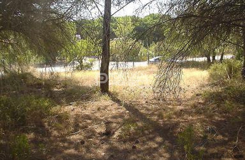 Land for Sale in Vila Sol