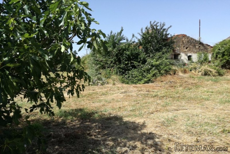 Ruin With Land Near Ferreira do Zezere - 2