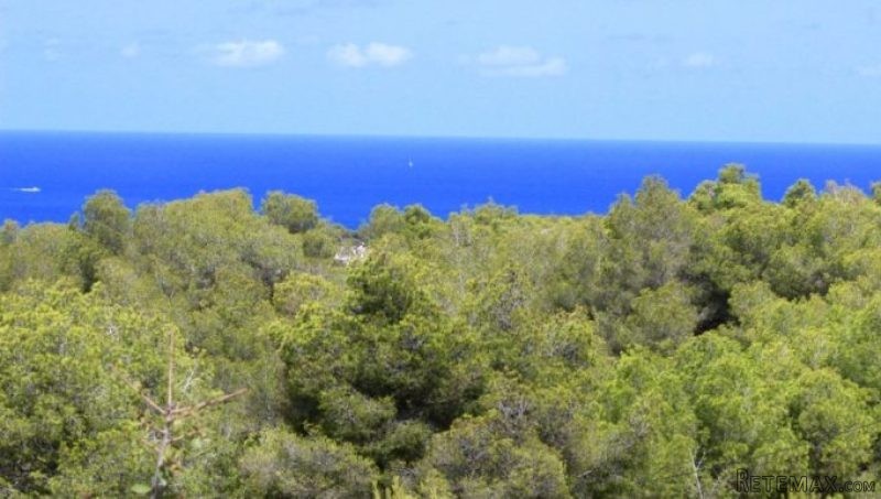 0 Bedroom 0 Bathroom PLOT FOR SALE IN.. - 2