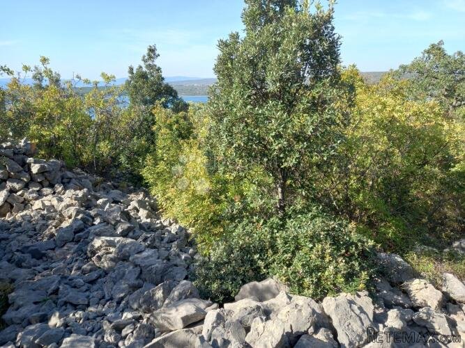 Krk, Punat, poljoprivredno zemljište