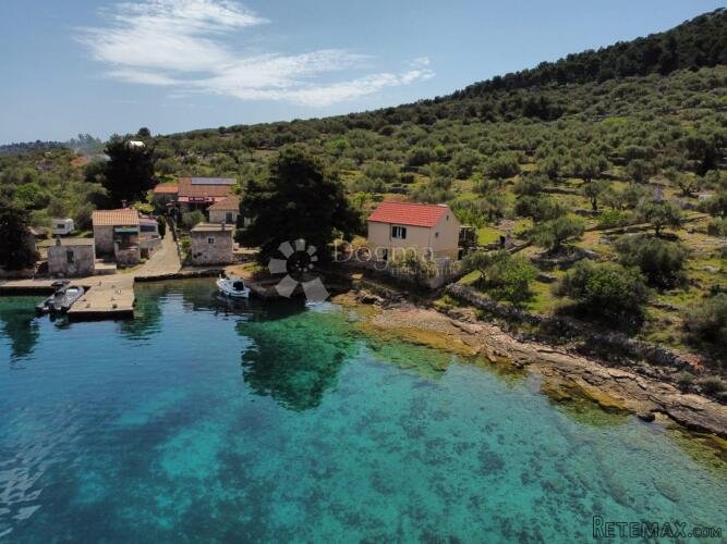 OTOK ŽUT, KORNATI - KUĆA I MASLENIK 2500M2 UZ MORE - 3