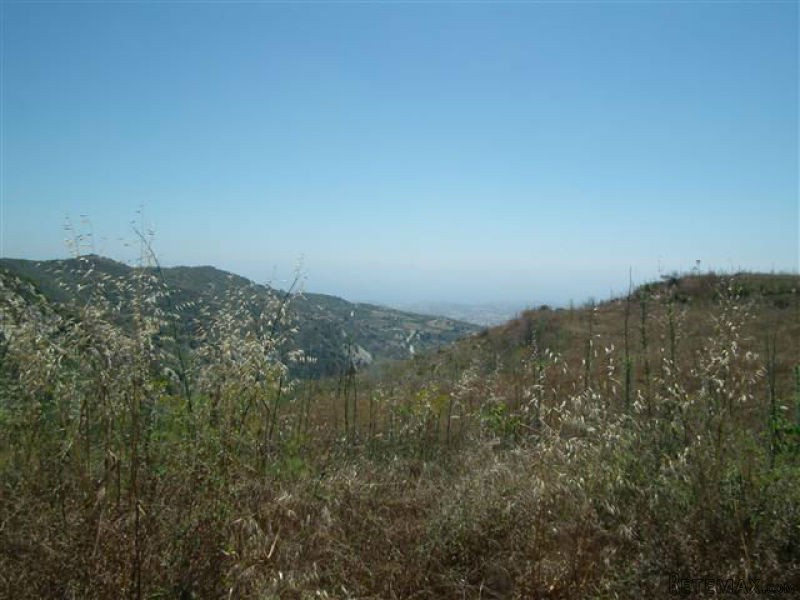 Land - Paphos - For Sale - 2