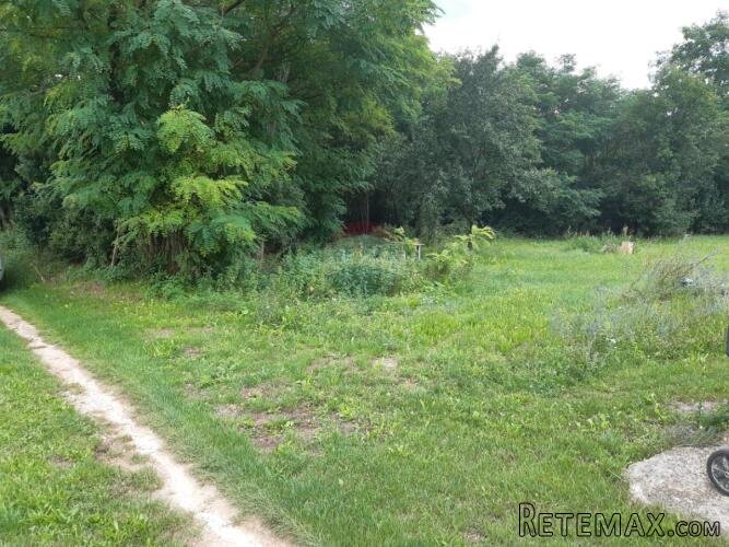 Istra, Žminj okolica građevinska parcela - 5