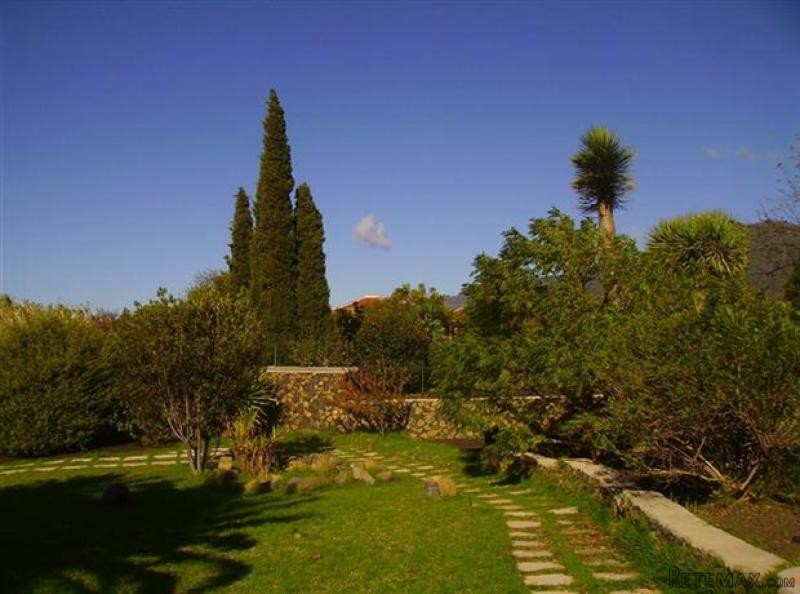 Farm For Sale in El Paso, La Palma - 2