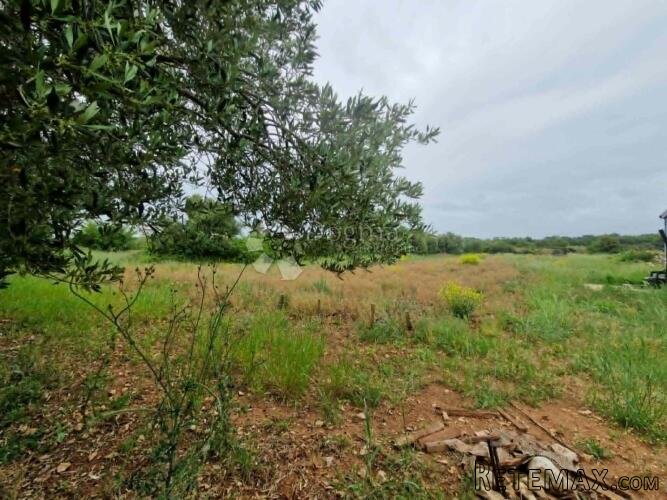 BIOGRAD/TURANJ - GRAĐEVINSKO ZEMLJIŠTE 630 M2 - 2