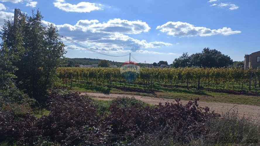 Istra, Vižinada, okolica- građevinsko zemljište na rubu nase - 2