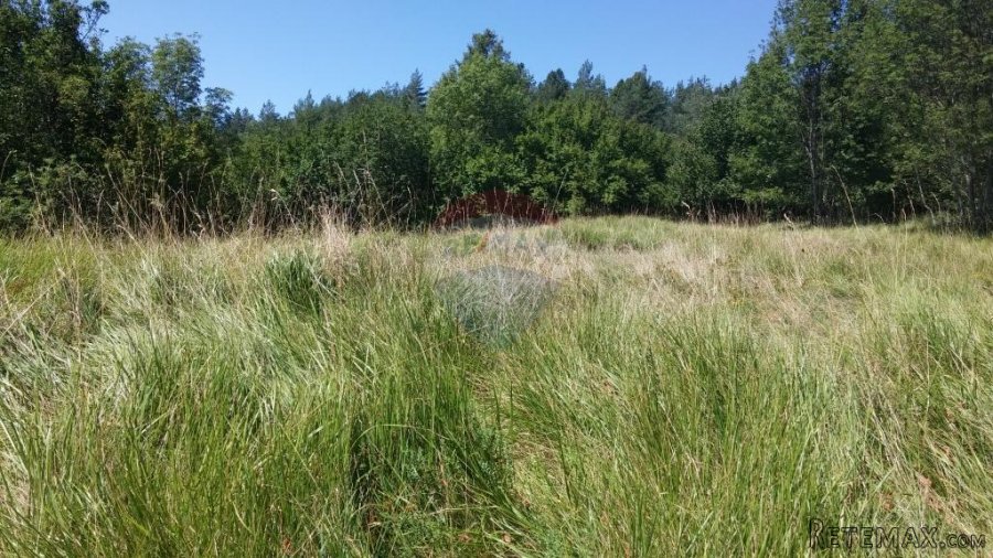 POLJOPRIVREDNO ZEMLJIŠTE UDALJENO OD ŽEJANA 300 M IDEALNO ZA - 2