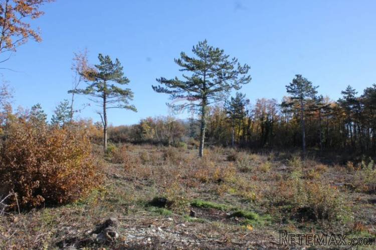 GRAĐEVINSKO ZEMLJIŠTE - POGLED NA MORE 3600M2 - 4