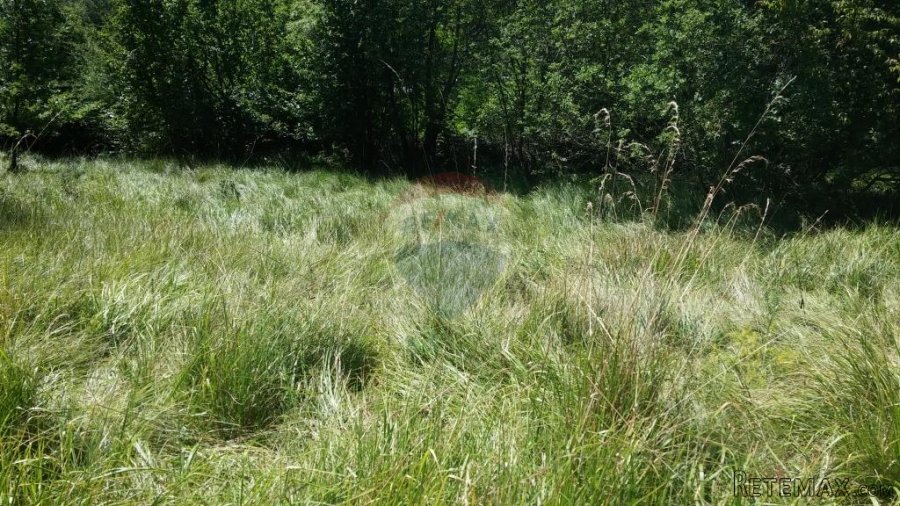 POLJOPRIVREDNO ZEMLJIŠTE UDALJENO OD ŽEJANA 300 M IDEALNO ZA - 4
