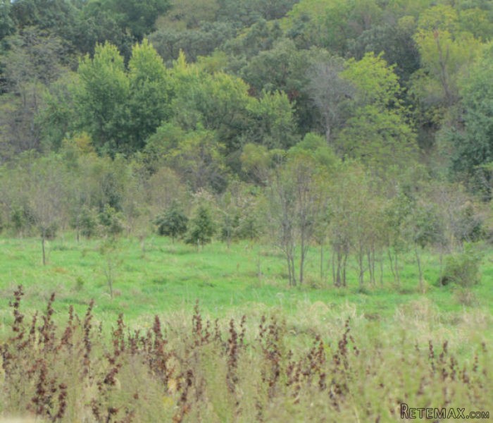 80+/- acres farm land, MO hunting with.. - 2