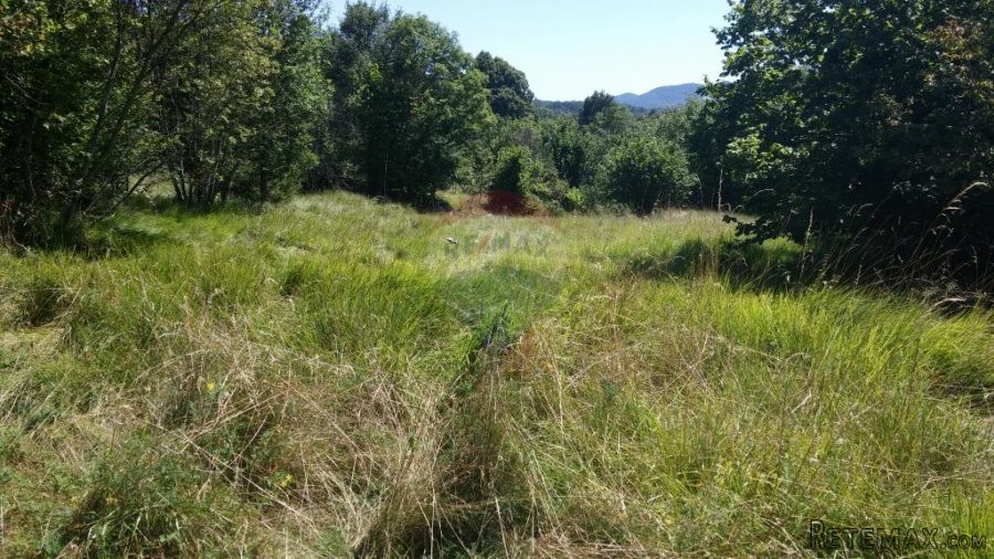 POLJOPRIVREDNO ZEMLJIŠTE UDALJENO OD ŽEJANA 300 M IDEALNO ZA - 6