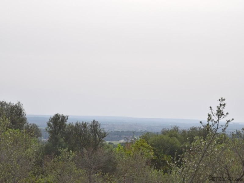 Plot In Sought-After Residential Area..