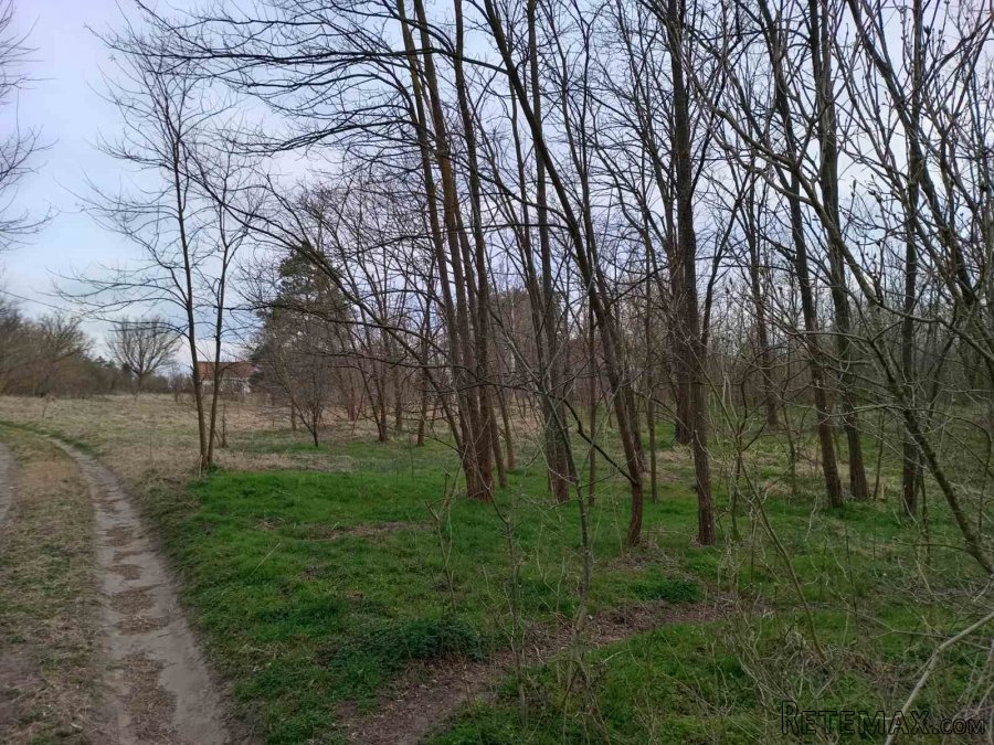 Plac na prodaju Bela Crkva-Kajtasovo - 2