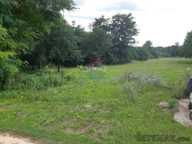 Istra, Žminj okolica pravilna građevinska parcela - 5
