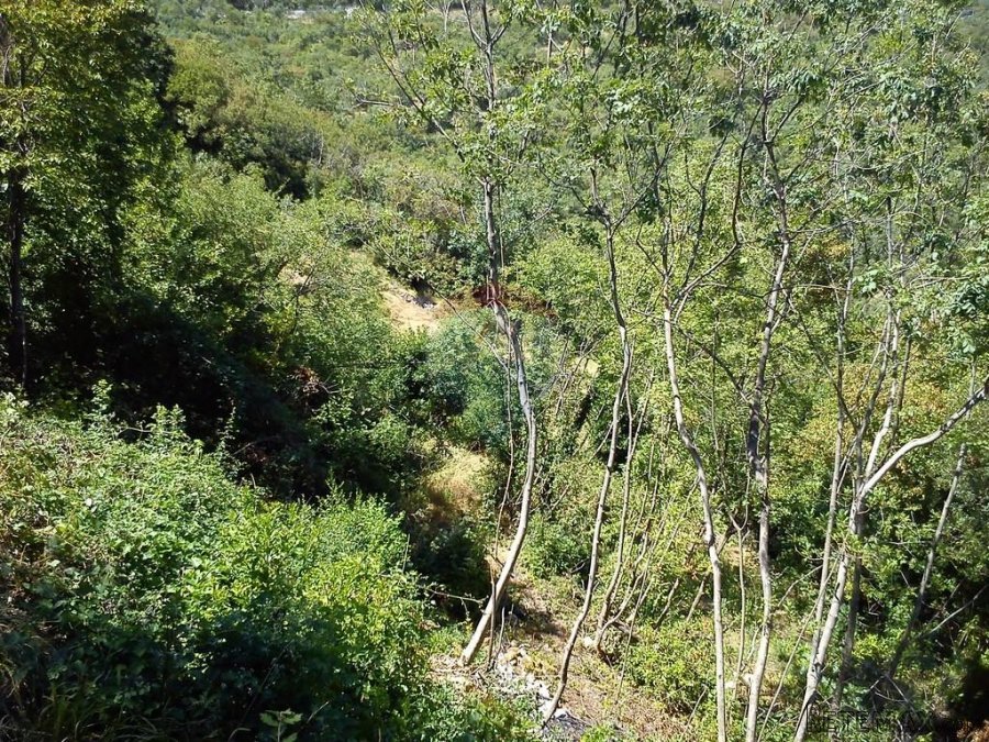 Mošćenice 1410 m2 - 6