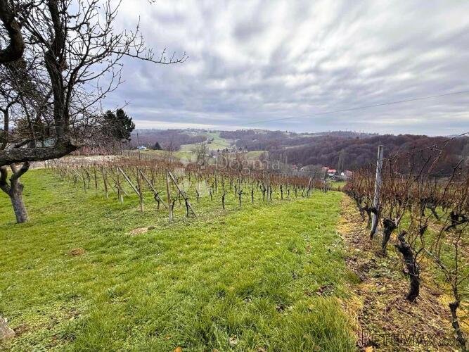 Panoramski pogled, vinograd i prostor za gradnju - 2