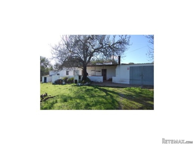 Plot, Tavira › Luz De Tavira E Santo E.. - 2