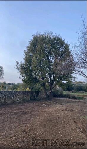 RAKALJ TEREN 1540M2 - 2