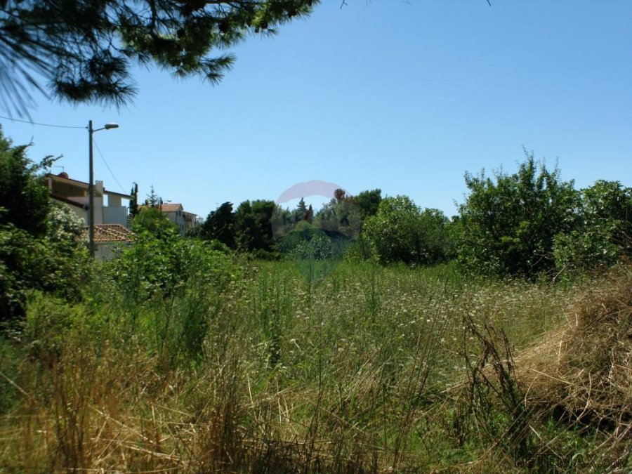 ISTRA, PREMANTURA, GRAĐEVINSKA PARCELA 1961 M2 S POGLEODM NA - 3