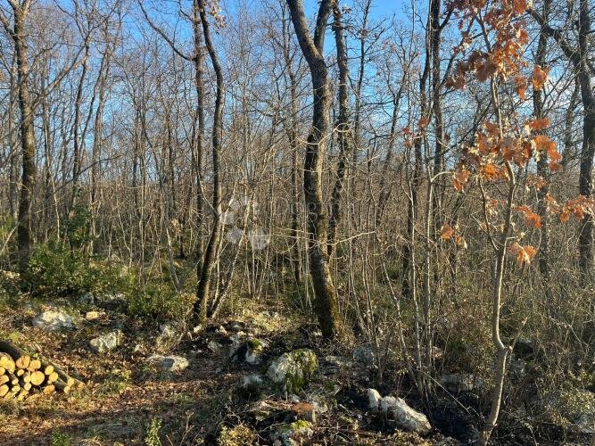 GRAĐEVINSKO ZEMLJIŠTE S POGLEDOM NA MORE - 2