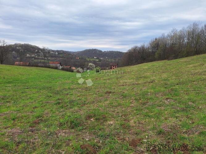 Veliko i uredno sa dosta šume - 2