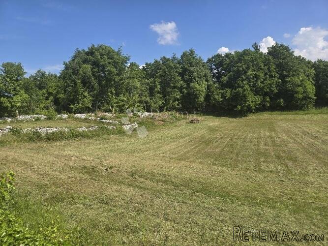 PRILIKA U ISTRI-Svetvinčenat,zemljište 2808 m2 - 3