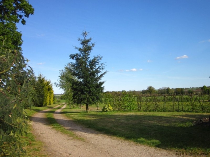 Country House on 3 Hectares - 2