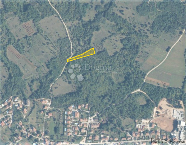 Šuma u Žbandaju - 2