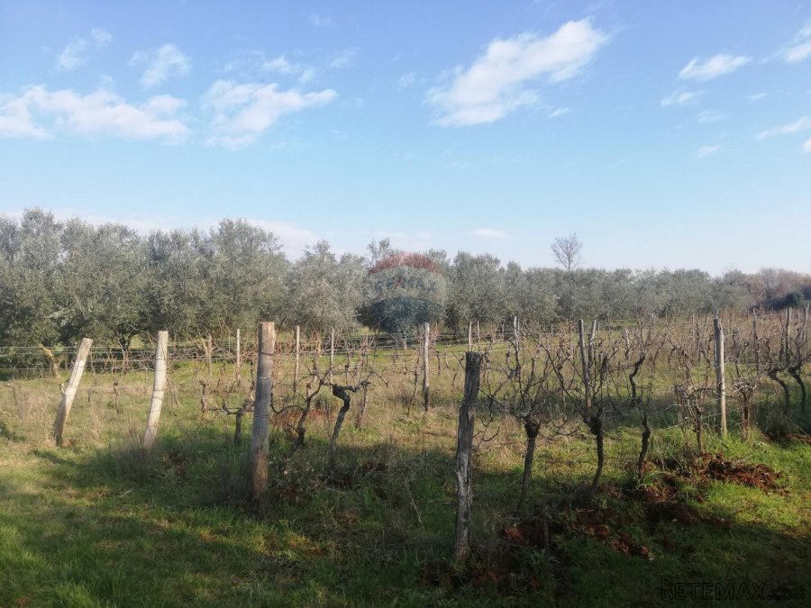 Istra, Novigrad - Poljoprivredno zemljište sa legaliziranim - 5