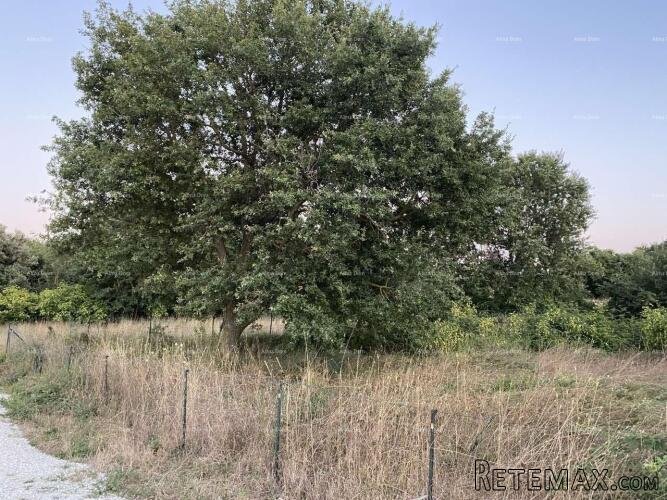 Prodaje se građevinska parcela, 634 m2, u Medulinu