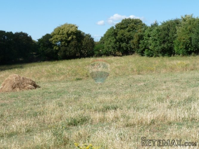 PUNTERA, zemljište od 14774, gosp. objektima i pogledom... - 2
