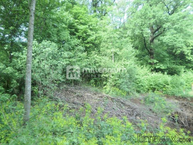 Čavle, građevinsko zemljište od 2.800m2 - 3