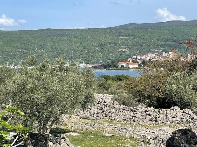 Krk,grad Krk,maslinik na prekrasnoj lokaciji,pogled na more - 3