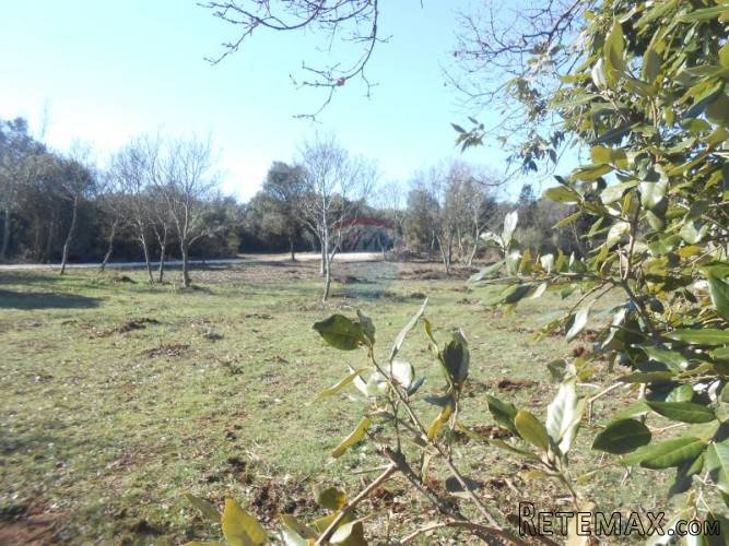 Istra, Ližnjan, poljoprivredno zemljište, šuma - 5