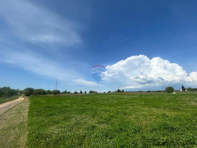 Tar- veliko građevinsko zemljište za investiciju - 2