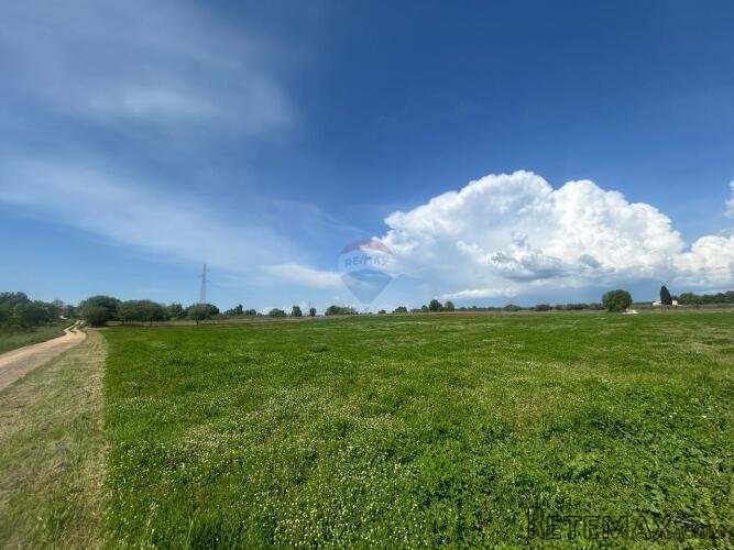 Tar- veliko građevinsko zemljište za investiciju - 3