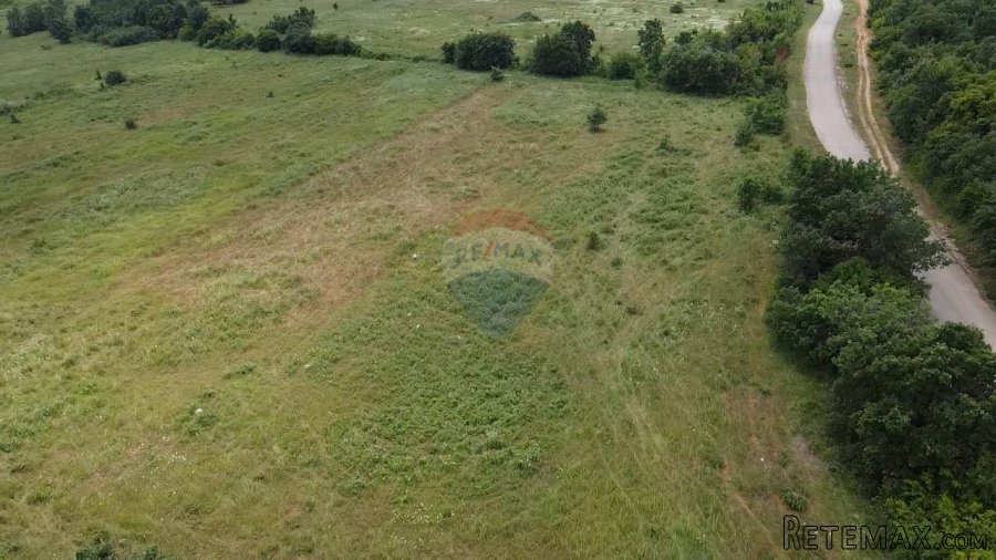 Istra, Tar, poljoprivredno zemljište 10054 m2