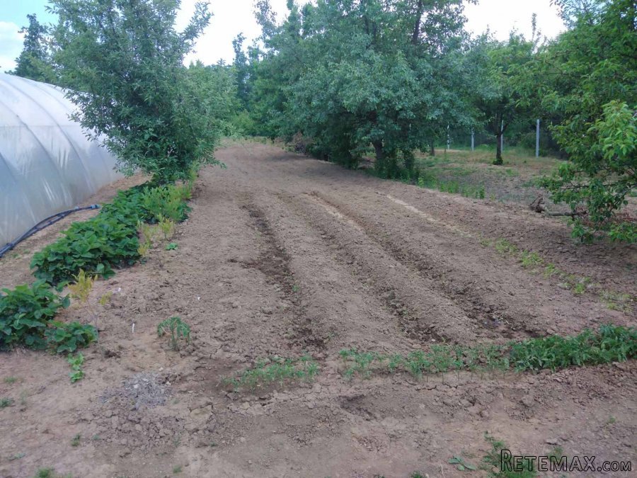 Prodajem kucu sa poslovnim prostorom - 15