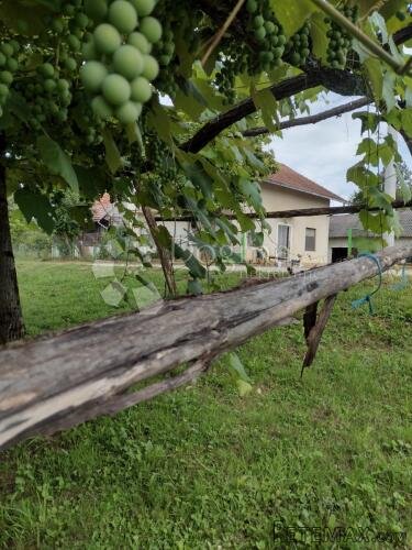 Opg imanje, ogromno zemljište, dodatna kućica - 2