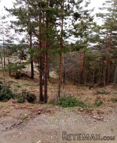 Prodajem plac na Divčibarama - 4